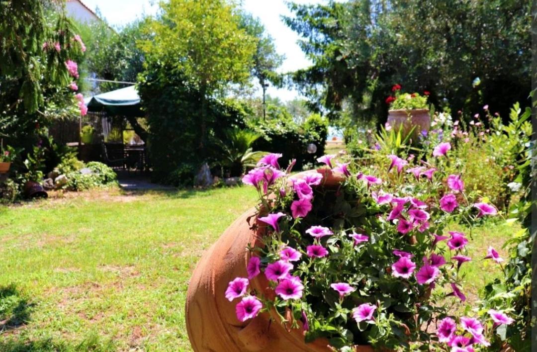 House By The Sea 2 Apartman Nea Iraklitsa Kültér fotó